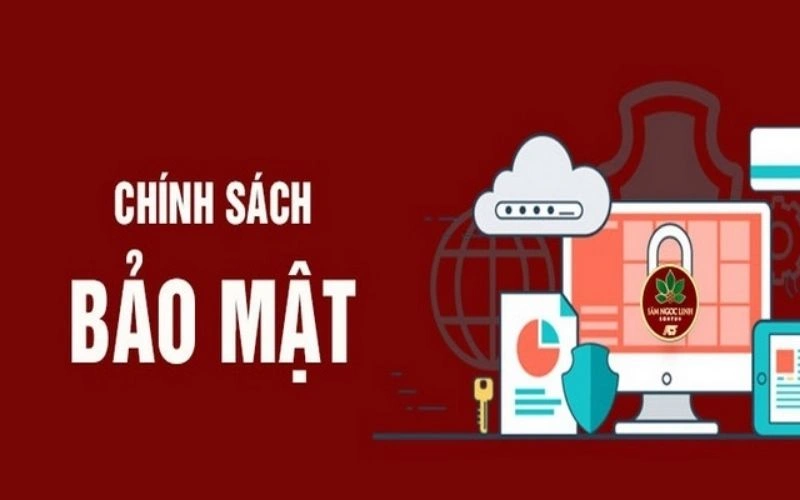 Quyền lợi của khách hàng được hưởng khi tham gia tại nhà cái