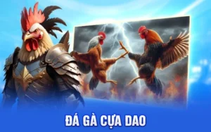 Đá gà cựa dao tại luck8